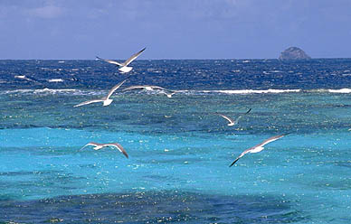 Les Tobago Cays dans les Grenadines