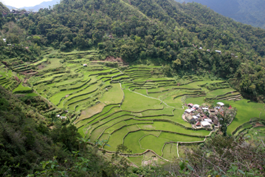 superbes rizières à Banaue