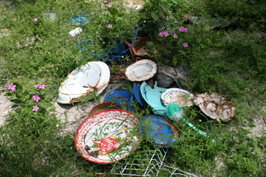 Neuf mois après le passage du Tsunami